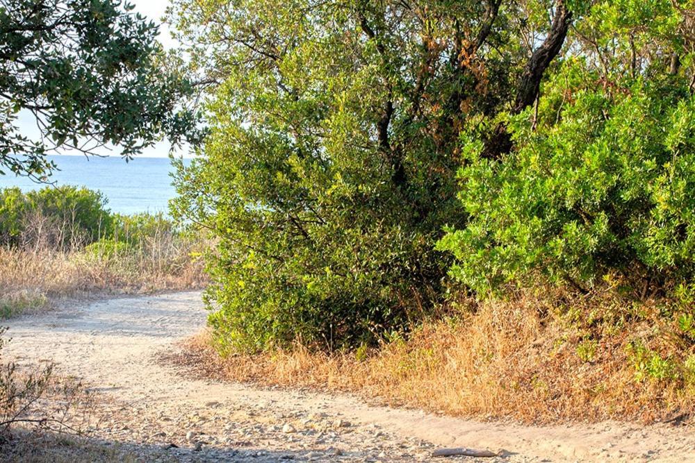 Bagheera Village Naturiste Linguizzetta 외부 사진