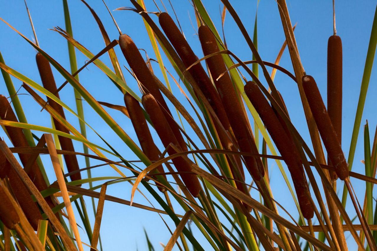 Bagheera Village Naturiste Linguizzetta 외부 사진